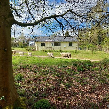 The Bungalow, Forest Of Dean Coleford  Dış mekan fotoğraf