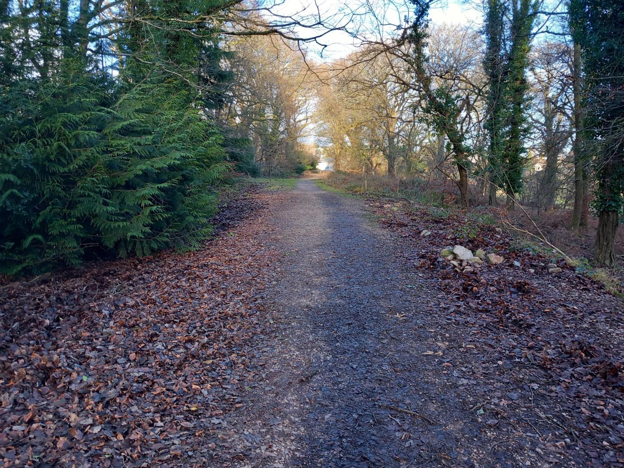 The Bungalow, Forest Of Dean Coleford  Dış mekan fotoğraf