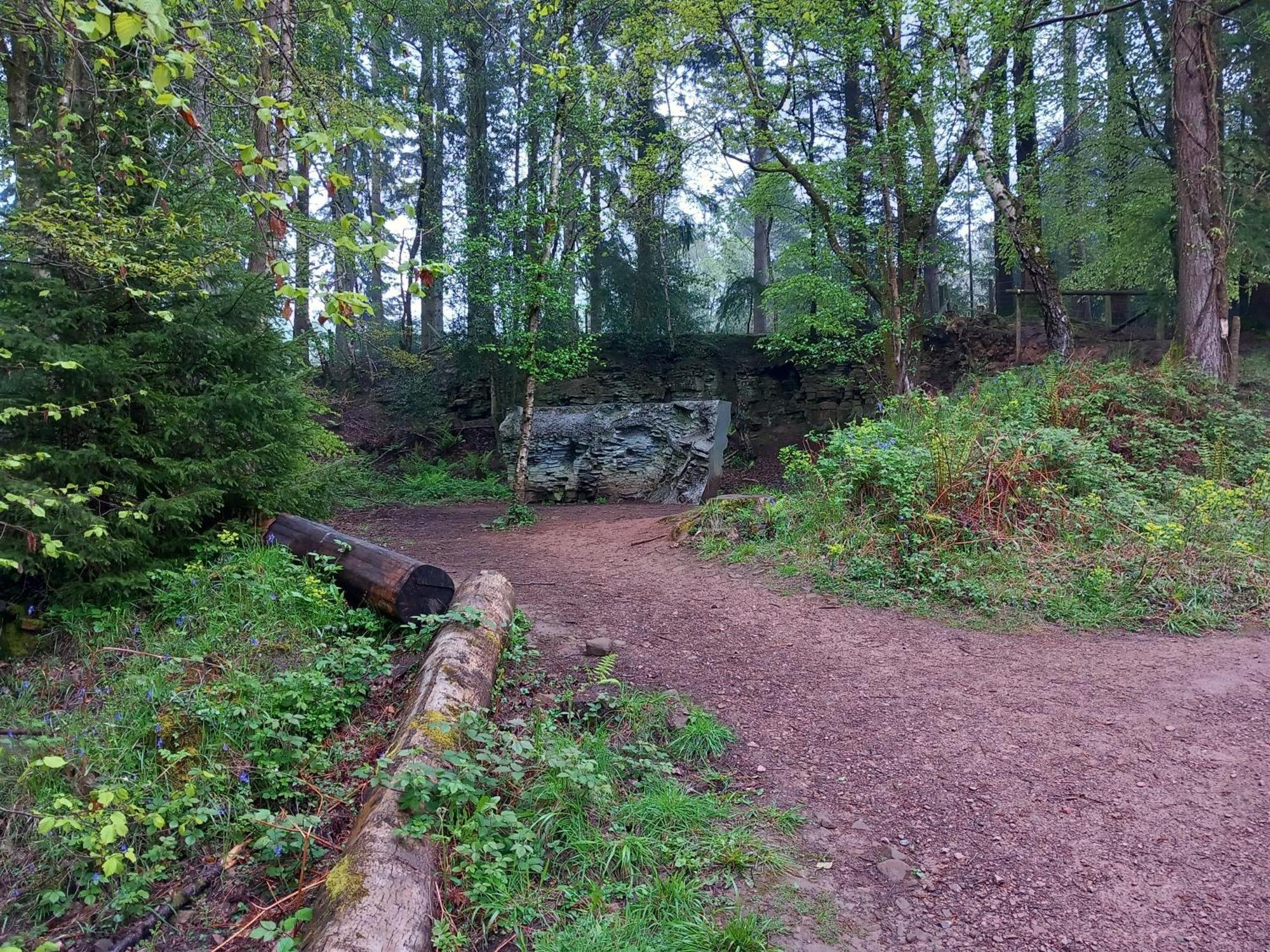 The Bungalow, Forest Of Dean Coleford  Dış mekan fotoğraf