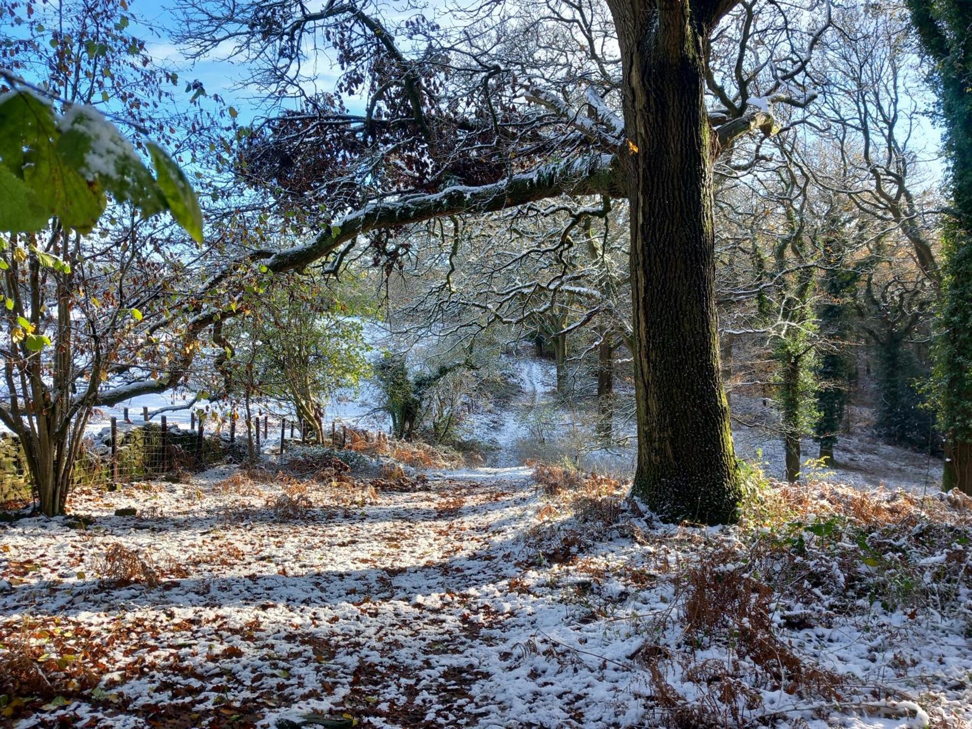 The Bungalow, Forest Of Dean Coleford  Dış mekan fotoğraf